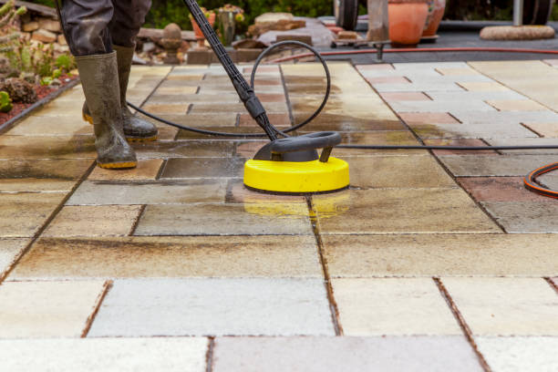 Best Window and Screen Pressure Cleaning in Belle Rose, LA