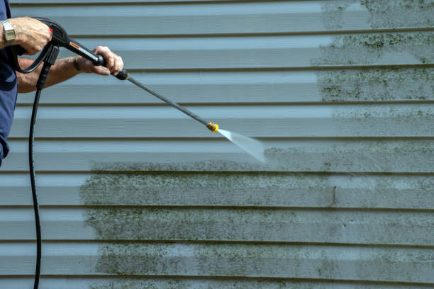 Best Pool Deck Cleaning in Belle Rose, LA